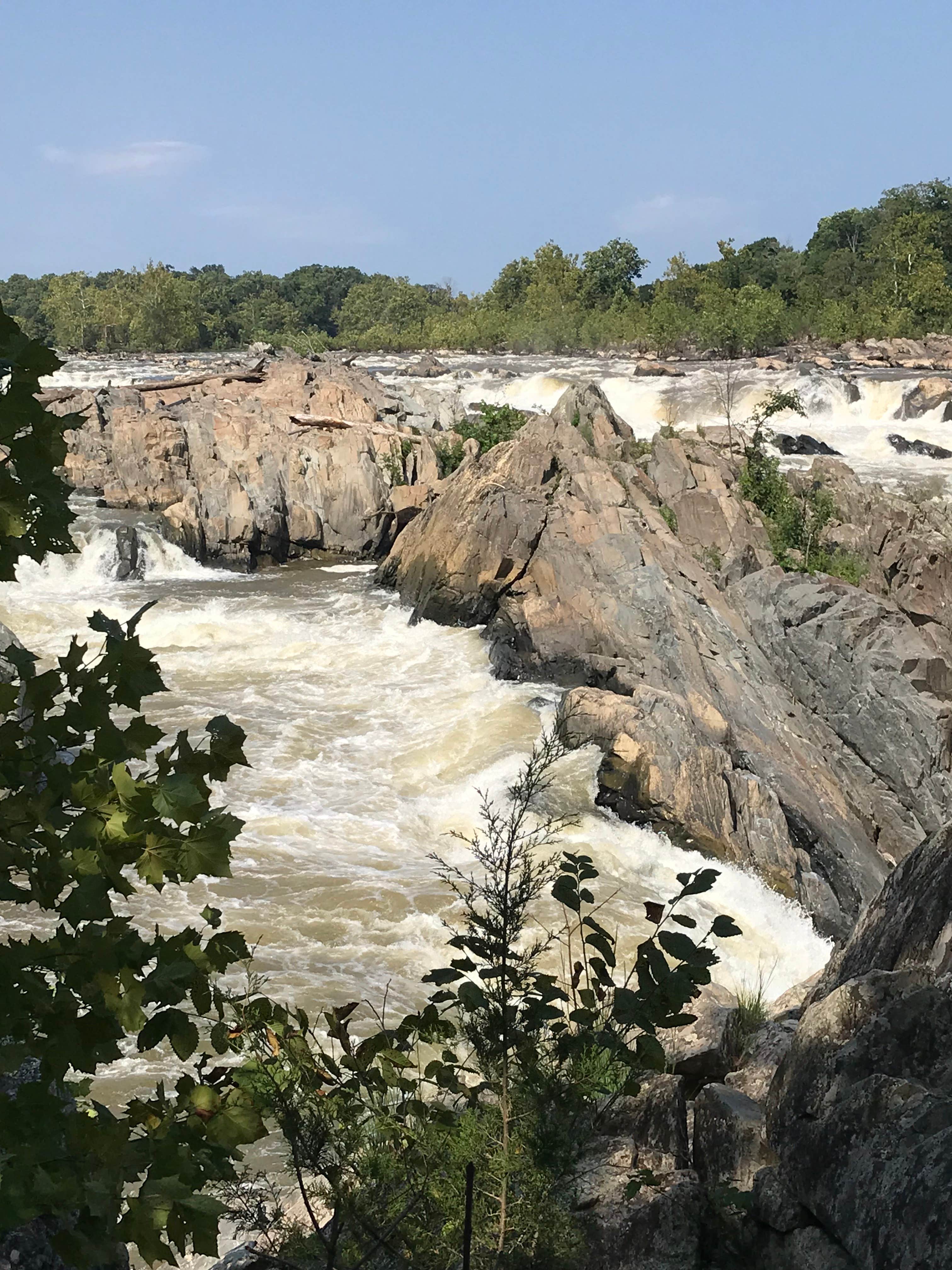 Camper-submitted photo at Lake Fairfax Campground near Great Falls, VA