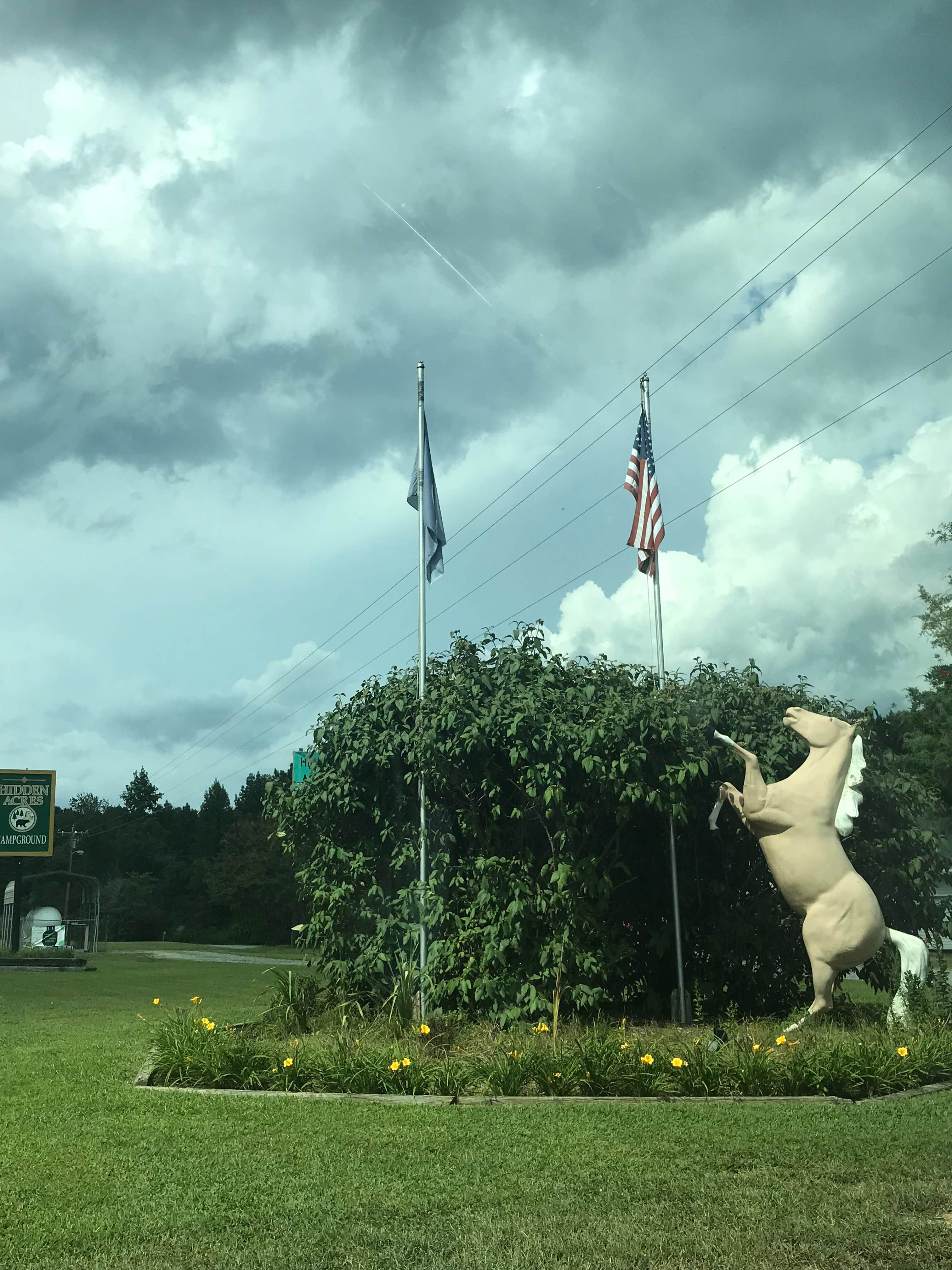Camper-submitted photo at Hidden Acres Campground near Rappahannock Academy, VA