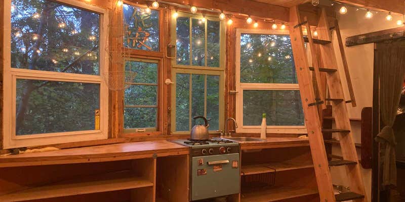 Camper submitted image from Coffee Creek Community & Gardens