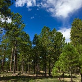 Review photo of Jacob Lake Campground - Kaibab National Forest by Earl C., September 13, 2018