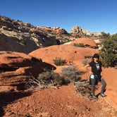 Review photo of Fruita Campground — Capitol Reef National Park by Earl C., September 13, 2018