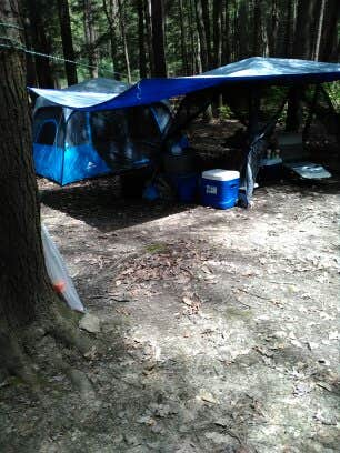 Doreen M.'s photo at Cook Forest State Park Campground & Cabins near Parker, PA