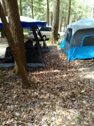 Doreen M.'s photo at Cook Forest State Park Campground & Cabins near Cooksburg, PA