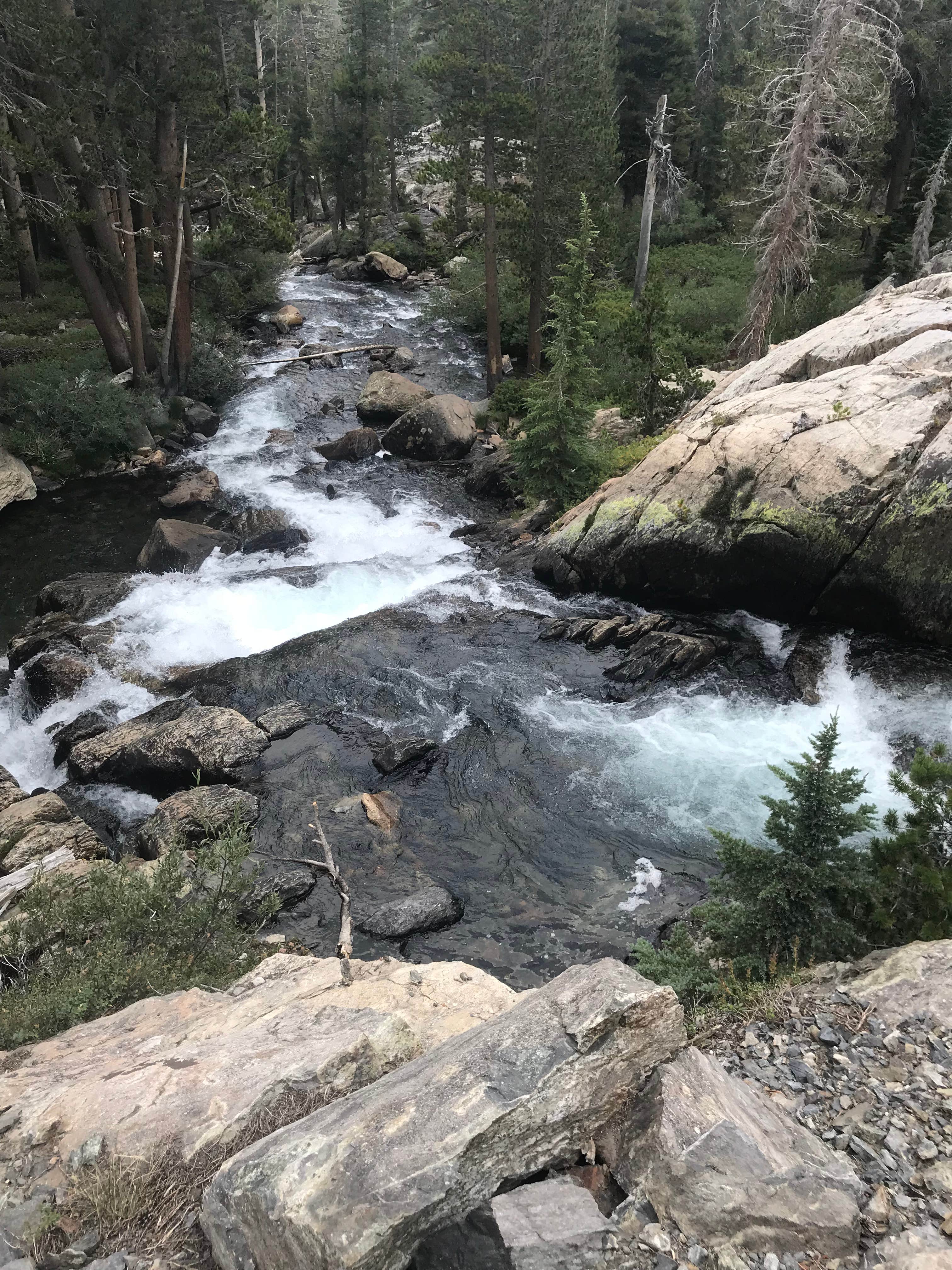 Camper submitted image from Gladys Lake Backcountry, Ansel Adams Wilderness - 2