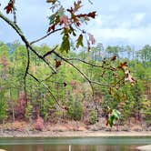 Review photo of COE Lake Ouachita Crystal Springs Campground by dyana R., November 4, 2022