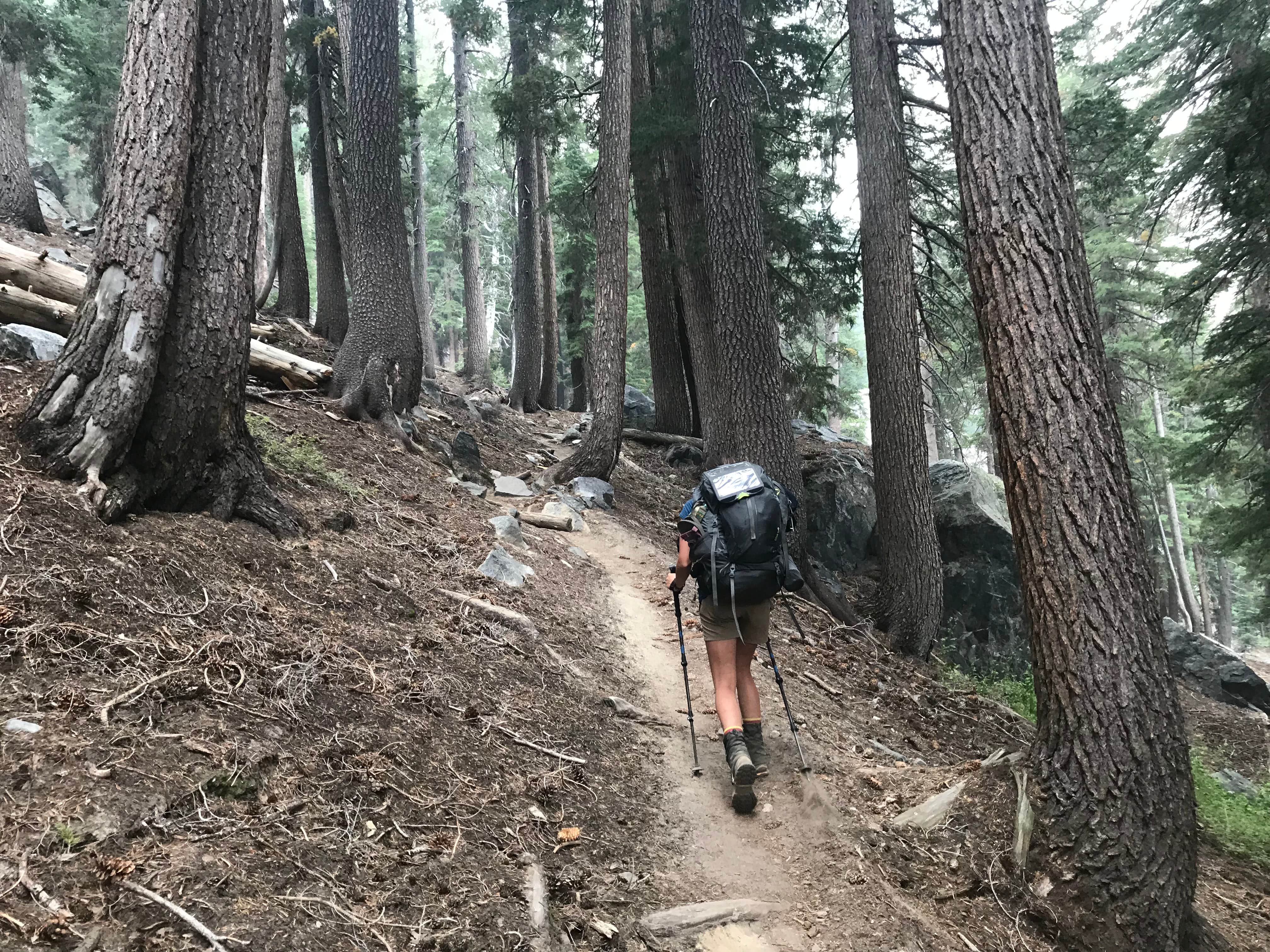 Camper submitted image from Gladys Lake Backcountry, Ansel Adams Wilderness - 3