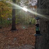 Review photo of Alum Creek State Park Campground by Daniel & Heather U., November 4, 2022