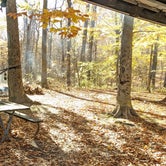 Review photo of Alum Creek State Park Campground by Daniel & Heather U., November 4, 2022