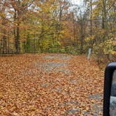 Review photo of Alum Creek State Park Campground by Daniel & Heather U., November 4, 2022