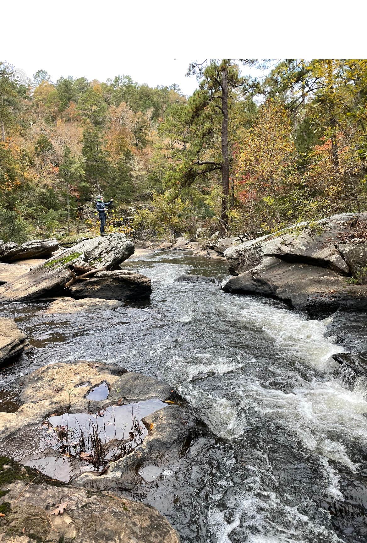 Bohamia Camping | Talladega National Forest, AL