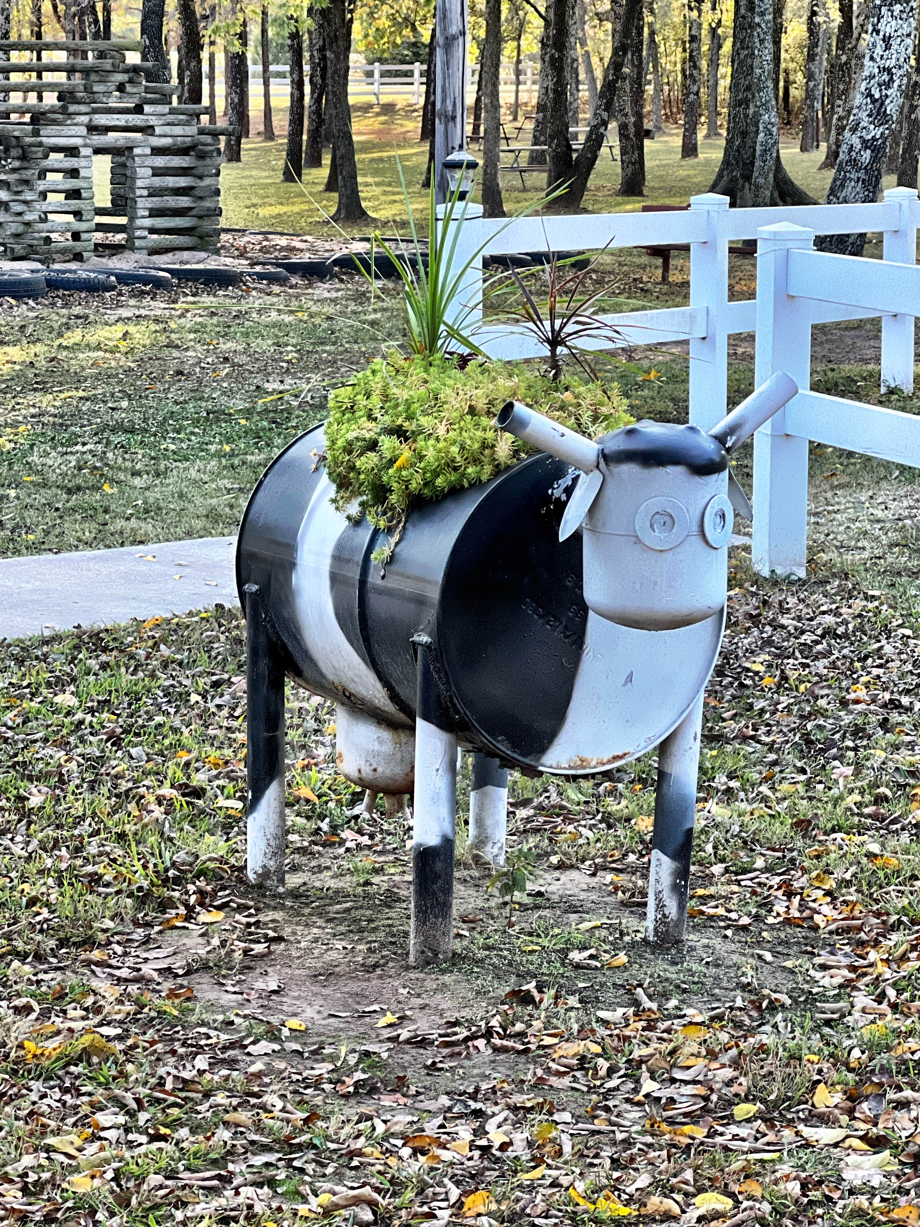 Camper-submitted photo at Checotah-Lake Eufaula KOA near Okmulgee, OK