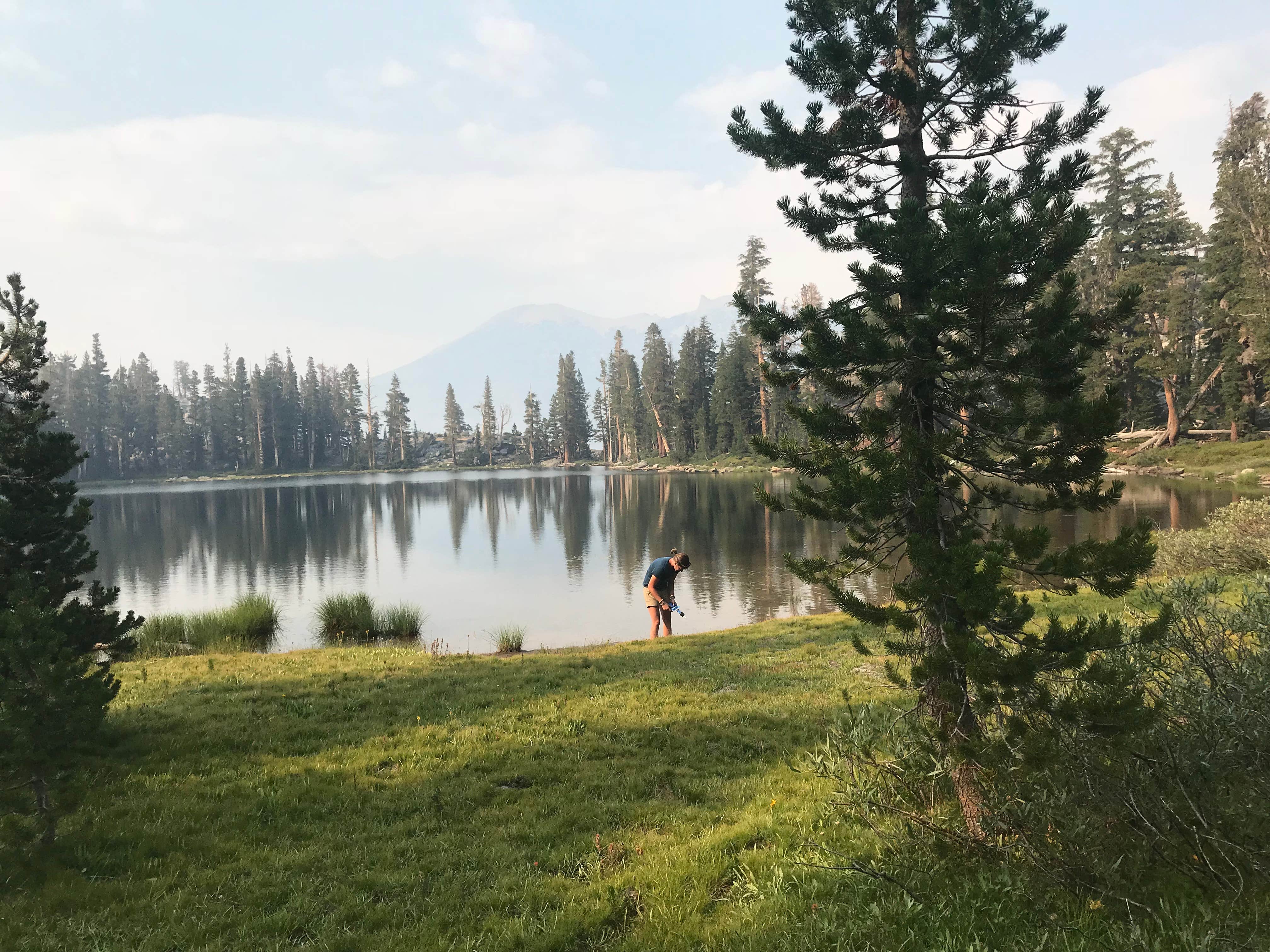 Camper-submitted photo at Gladys Lake Backcountry, Ansel Adams Wilderness near Devils Postpile National Monument