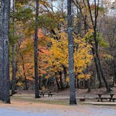 Review photo of Shenandoah Valley Campground by Karen , November 4, 2022