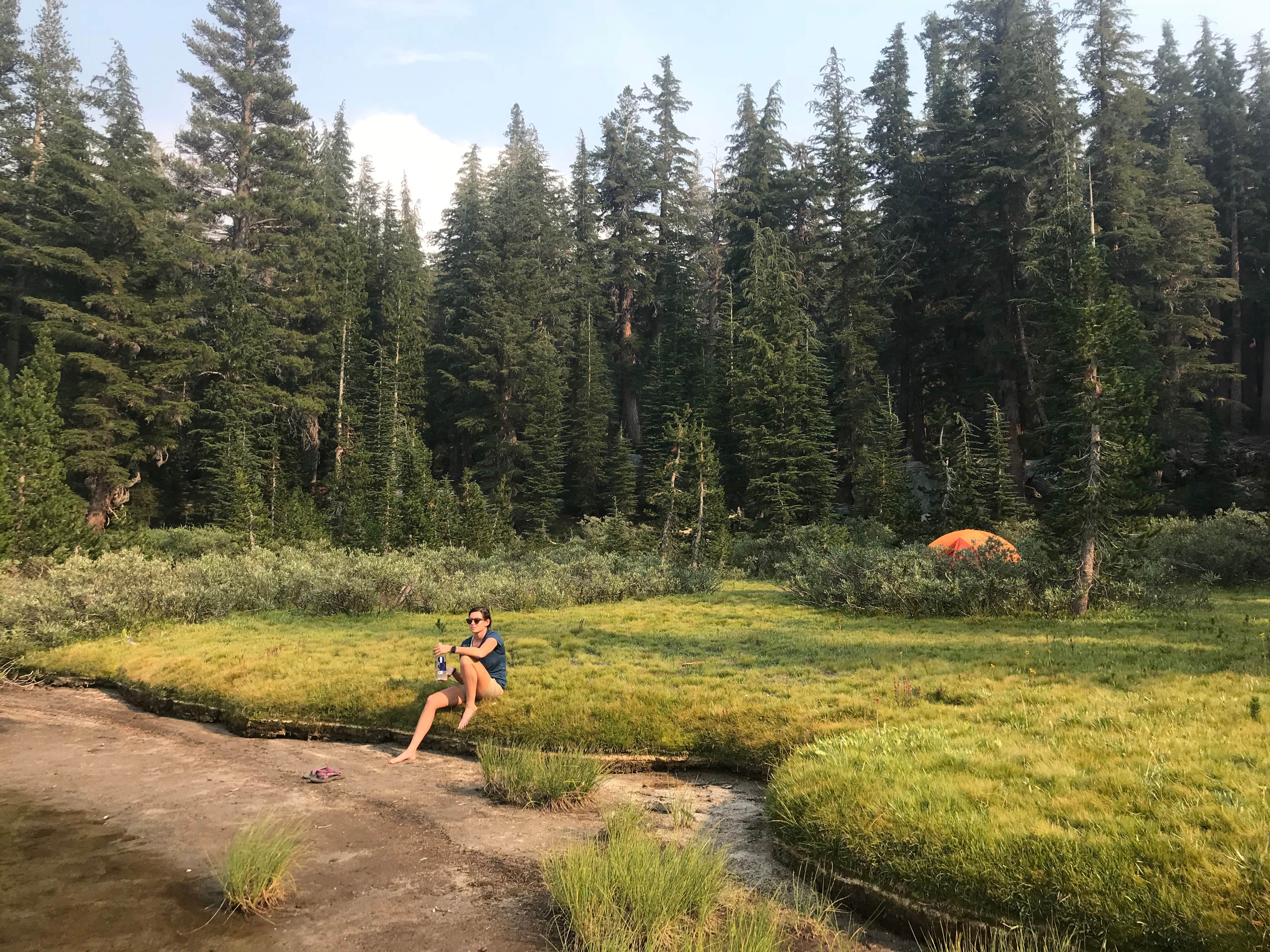 Camper-submitted photo at Gladys Lake Backcountry, Ansel Adams Wilderness near Devils Postpile National Monument