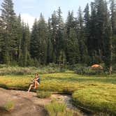 Review photo of Gladys Lake Backcountry, Ansel Adams Wilderness by Dave V., September 13, 2018