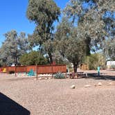 Review photo of Picacho-Tucson NW KOA by Sophia , November 4, 2022