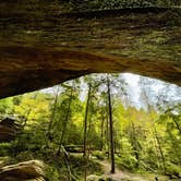 Review photo of Hocking Hills State Park Campground by Lee D., November 4, 2022