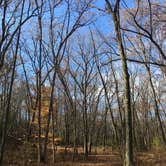 Review photo of Kettle Moraine South Camping — Kettle Moraine State Forest-Southern Unit by Lesley R., November 4, 2022