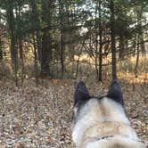 Review photo of Kettle Moraine South Camping — Kettle Moraine State Forest-Southern Unit by Lesley R., November 4, 2022