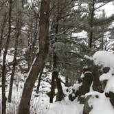 Review photo of Ice Age Campground — Devils Lake State Park by Lesley R., November 4, 2022