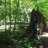 Review photo of Big Bay State Park Campground by Lesley R., November 4, 2022