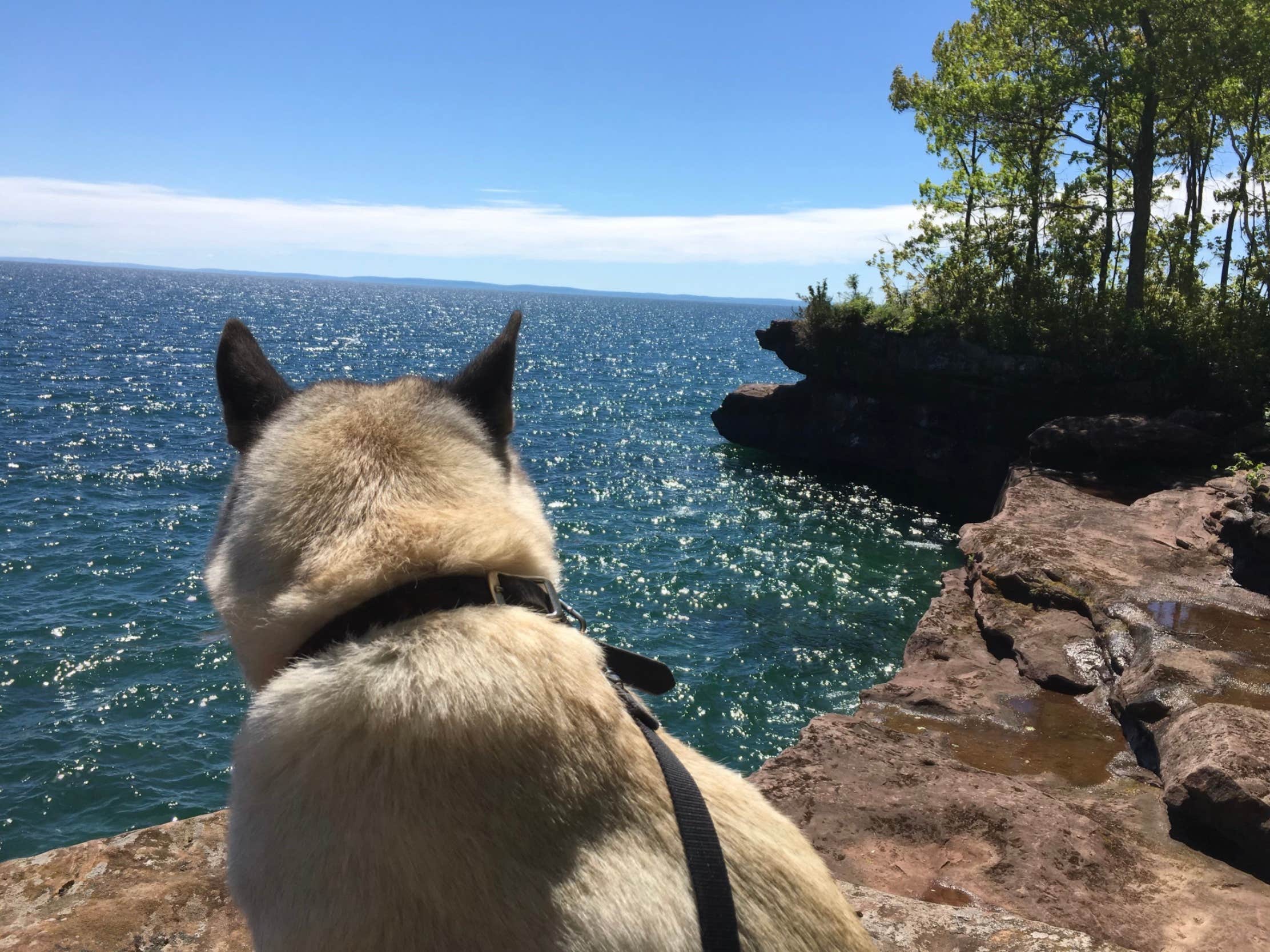 Lesley R.'s photo of camping with pets at Big Bay State Park Campground near Cornucopia, WI