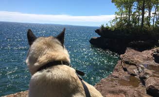 Lesley R.'s photo of camping with pets at Big Bay State Park Campground near Ashland, WI