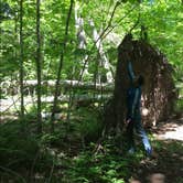 Review photo of Big Bay State Park Campground by Lesley R., November 4, 2022