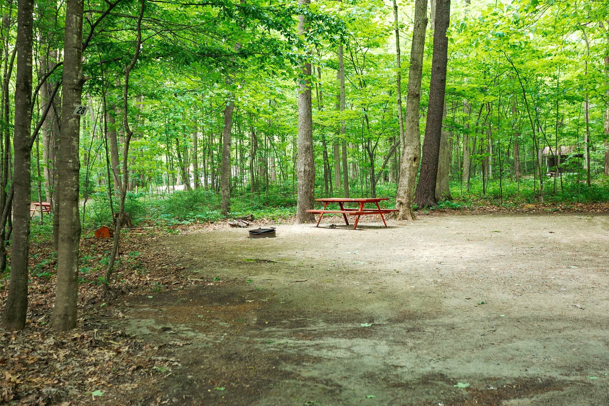 Camper submitted image from Camping on the Battenkill - 1