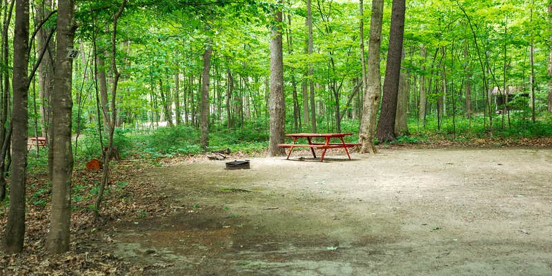 Camper submitted image from Camping on the Battenkill