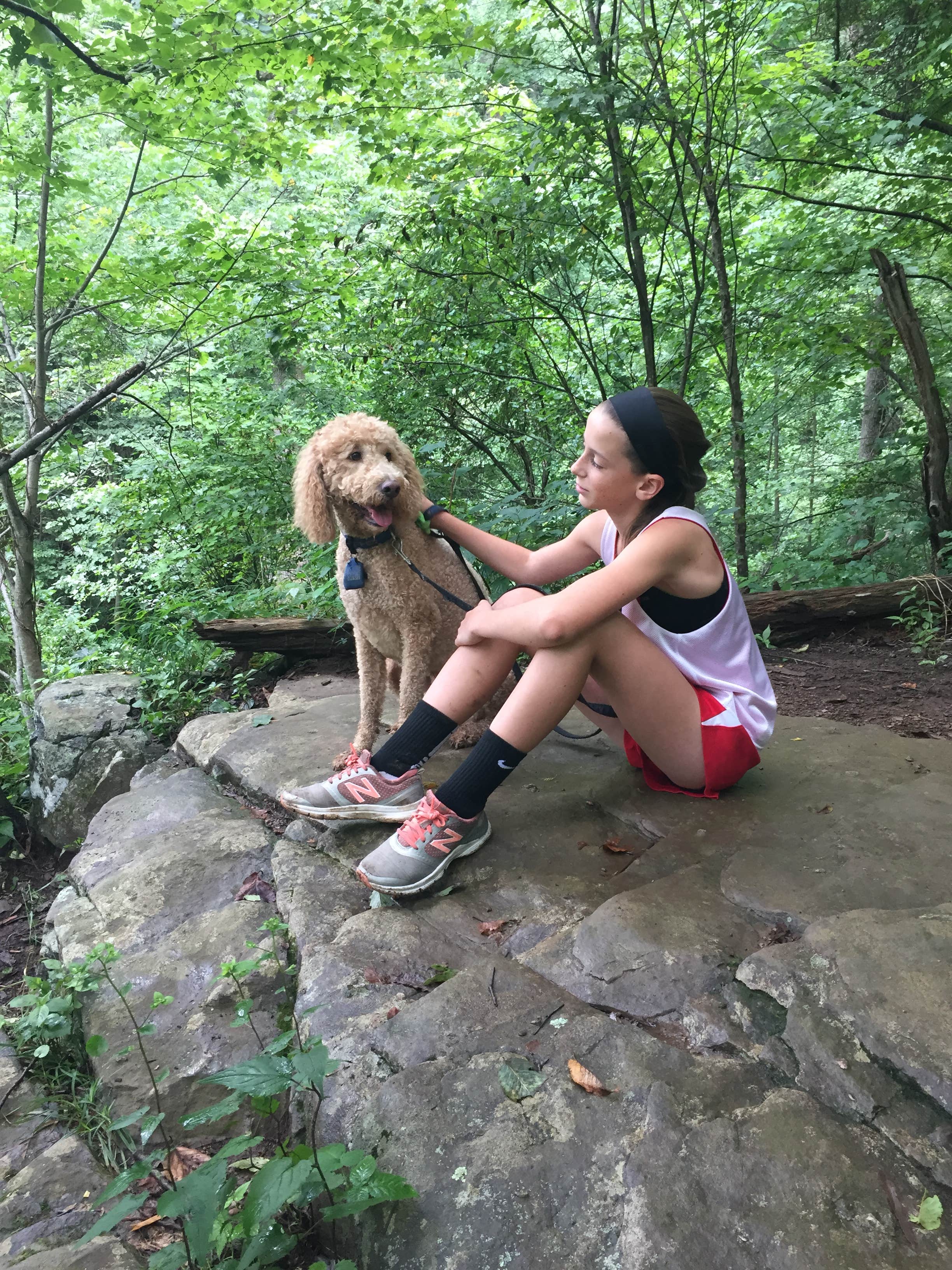 Cindy M.'s photo of camping with pets at Loft Mountain Campground — Shenandoah National Park near Harrisonburg, VA