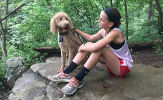 Cindy M.'s photo of camping with pets at Loft Mountain Campground — Shenandoah National Park near Shenandoah, VA