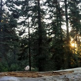Review photo of Sequoia National Forest Quaking Aspen Campground by Amber D., August 9, 2016