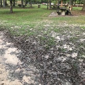 Review photo of Wall Doxey State Park Campground by Shana D., September 13, 2018