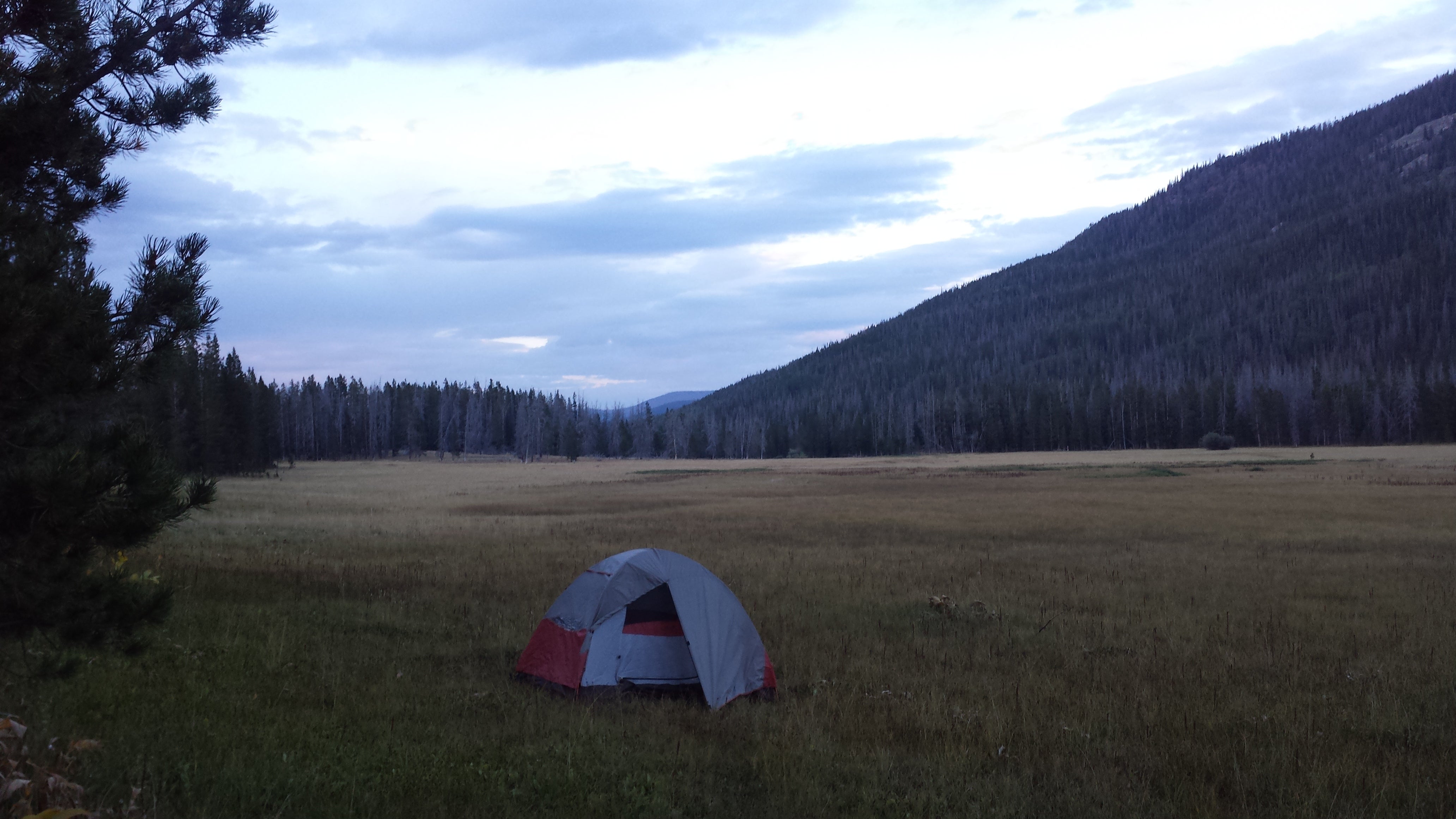 Camper submitted image from Uinta Dispersed Campsites - 4