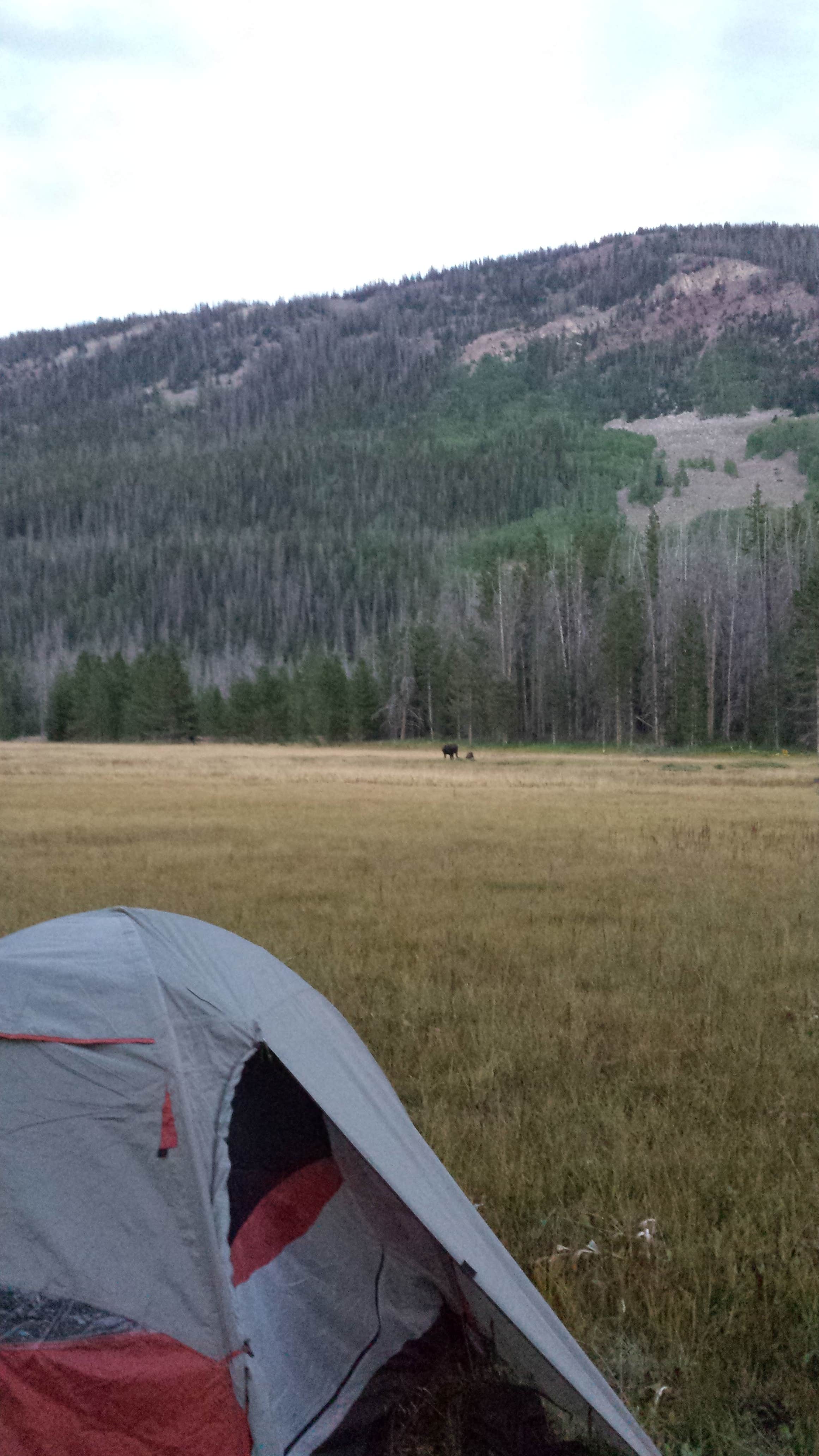 Jessica N.'s photo of a dispersed camping area at Uinta Dispersed Campsites near Fort Bridger, WY