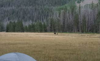 Jessica N.'s photo of a dispersed camping area at Uinta Dispersed Campsites near Fort Bridger, WY
