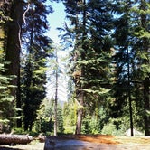 Review photo of Sequoia National Forest Quaking Aspen Campground by Amber D., August 9, 2016