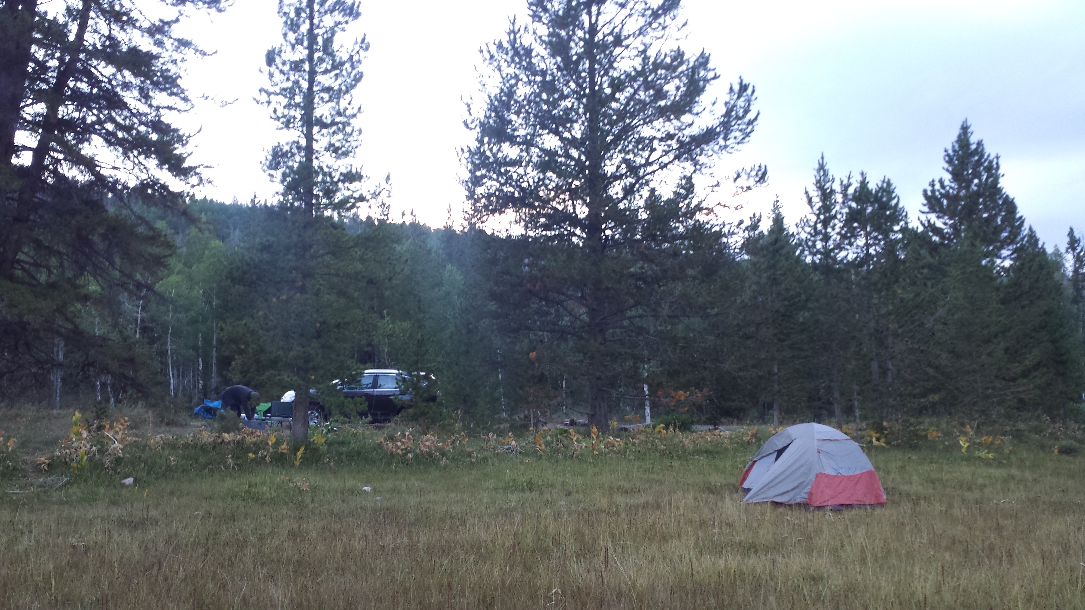 Camper submitted image from Uinta Dispersed Campsites - 5