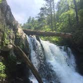 Review photo of Cades Cove Campground by Celina M., September 13, 2018
