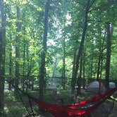 Review photo of Cades Cove Campground by Celina M., September 13, 2018