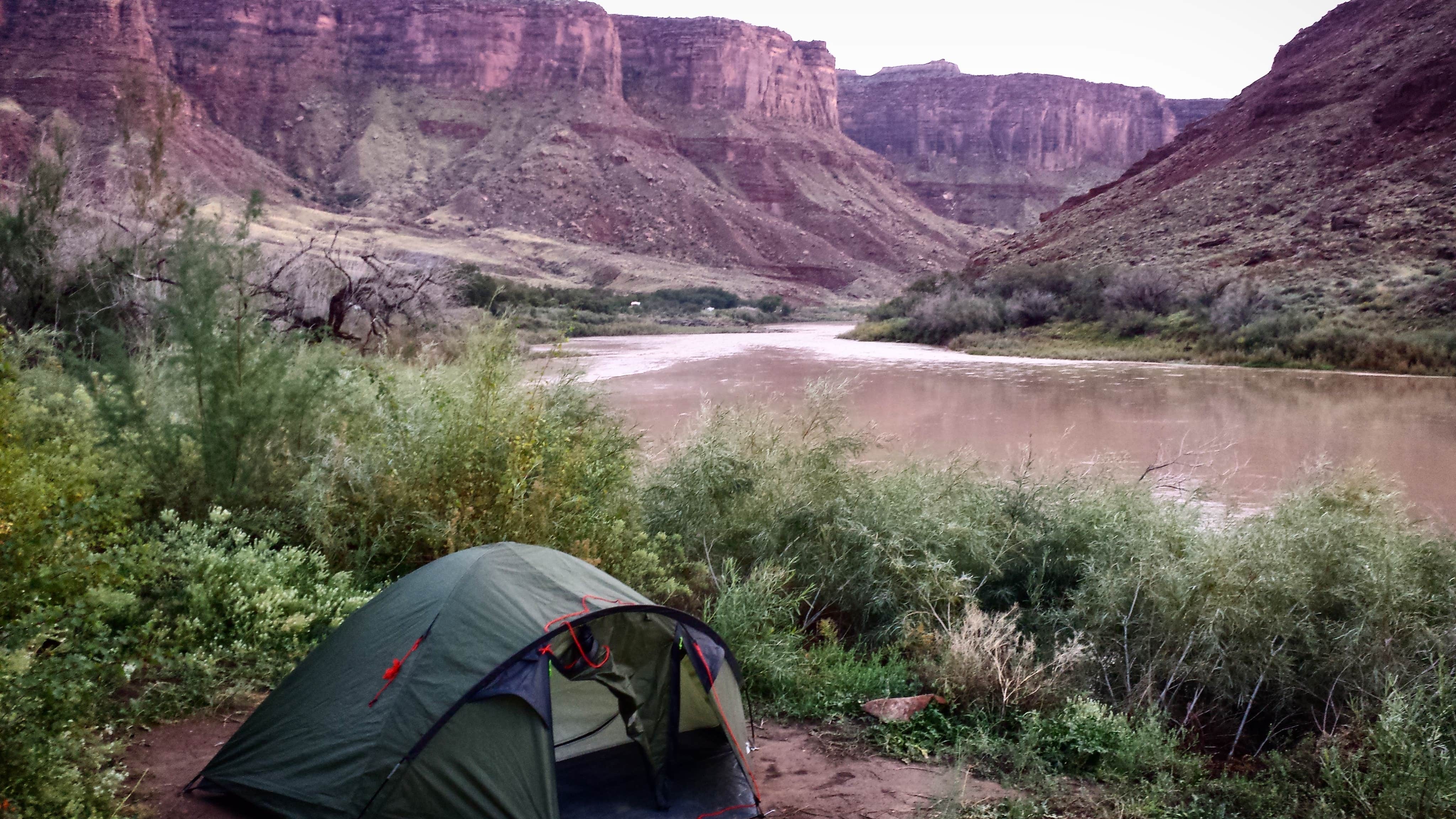 Camper submitted image from Big Bend Group Sites - 5