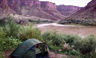 Amber D.'s photo at Big Bend Group Sites near Castle Valley, UT