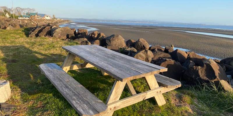 Camper submitted image from Bayshore RV Park & Guest Suites