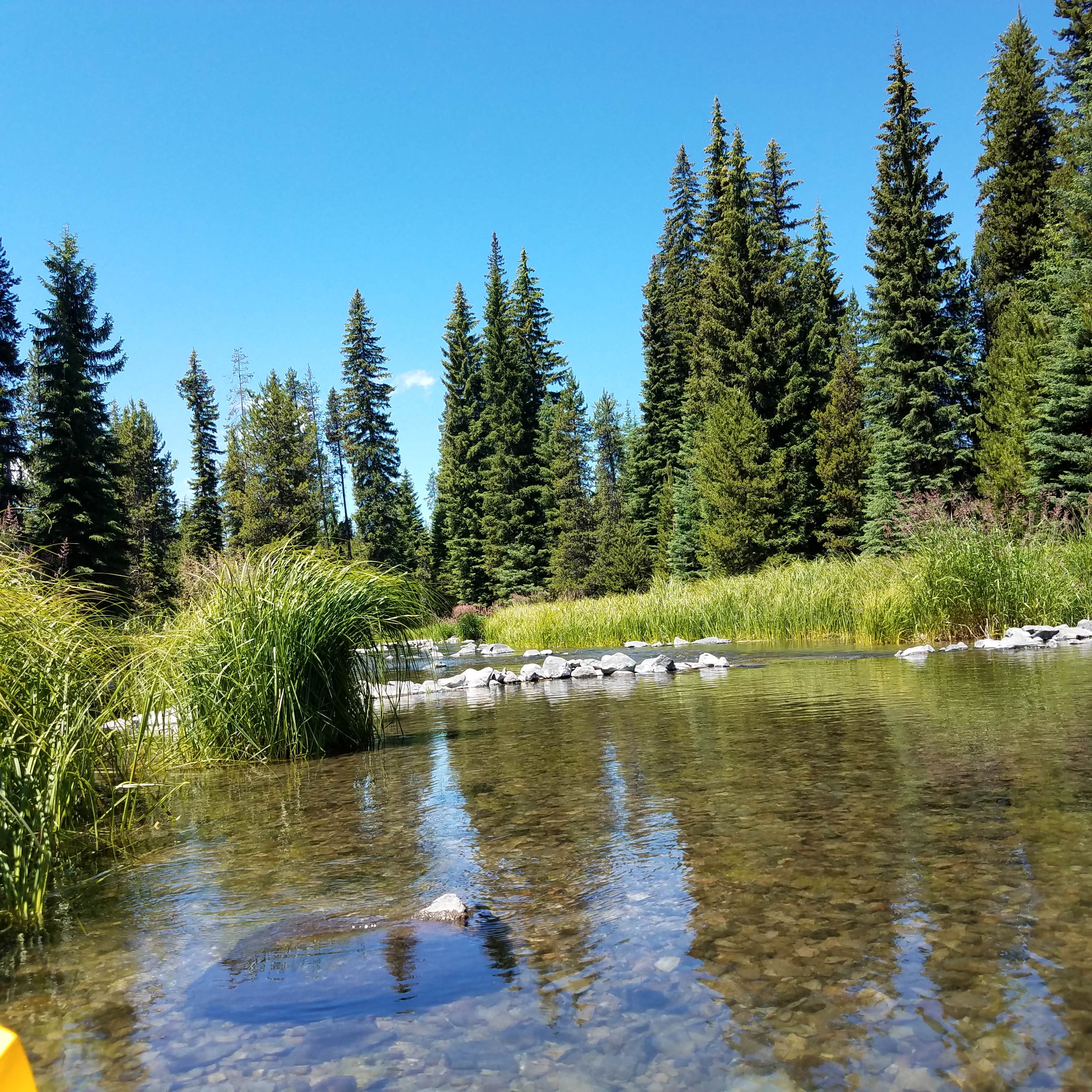 Camper submitted image from Lava Lake Campground - 3