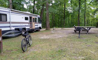 David F.'s photo of rv camping at Bertha Brock County Park near Hamilton, MI