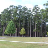 Review photo of Sesquicentennial State Park Campground by Bounding Around , September 13, 2018