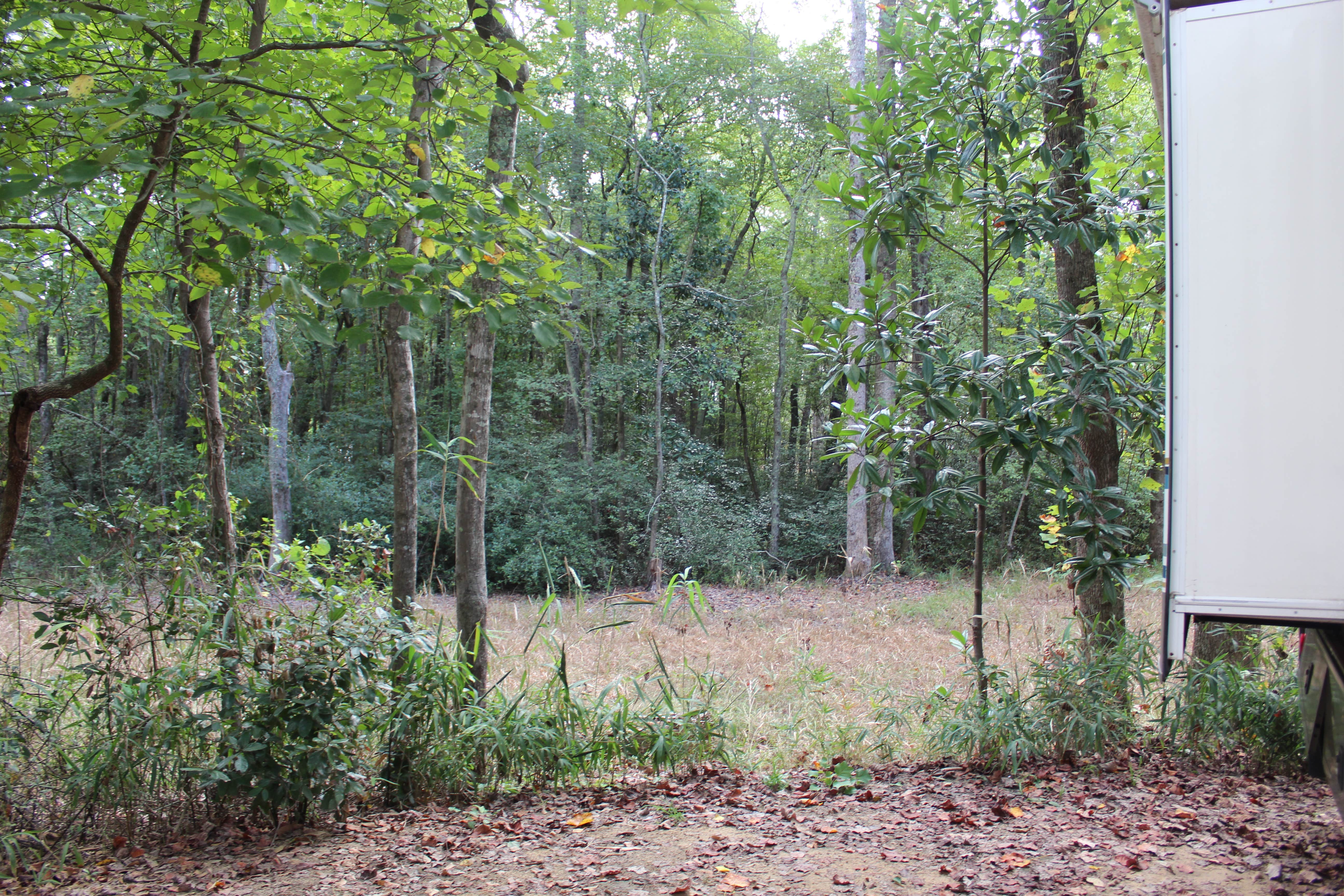 View from the back of Site 32