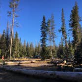 Review photo of Lost Lake Resort And Campground — Mt. Hood National Forest by Kelsey M., September 13, 2018