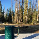 Review photo of Lost Lake Resort And Campground — Mt. Hood National Forest by Kelsey M., September 13, 2018